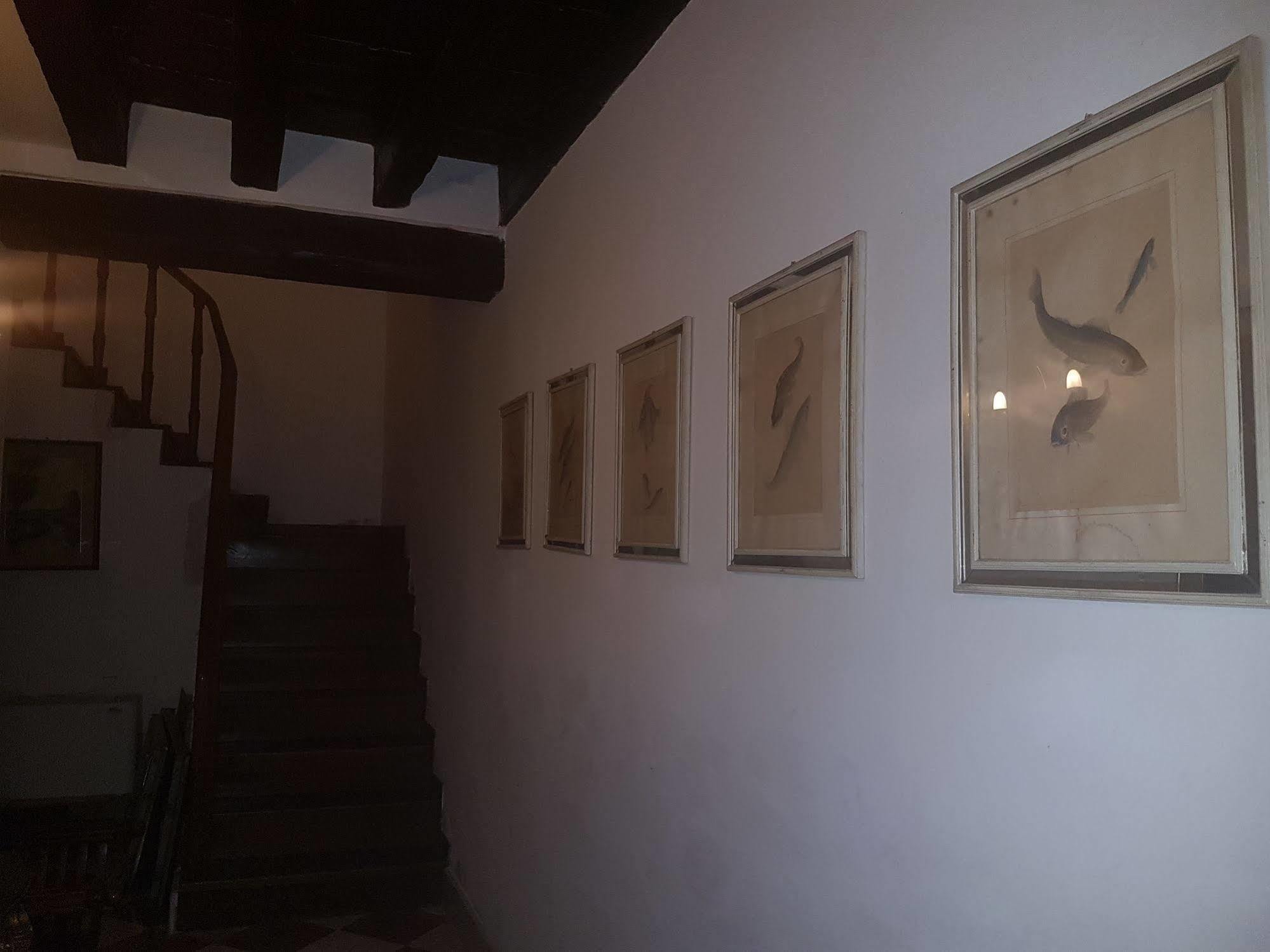 Guest house Casa Arte