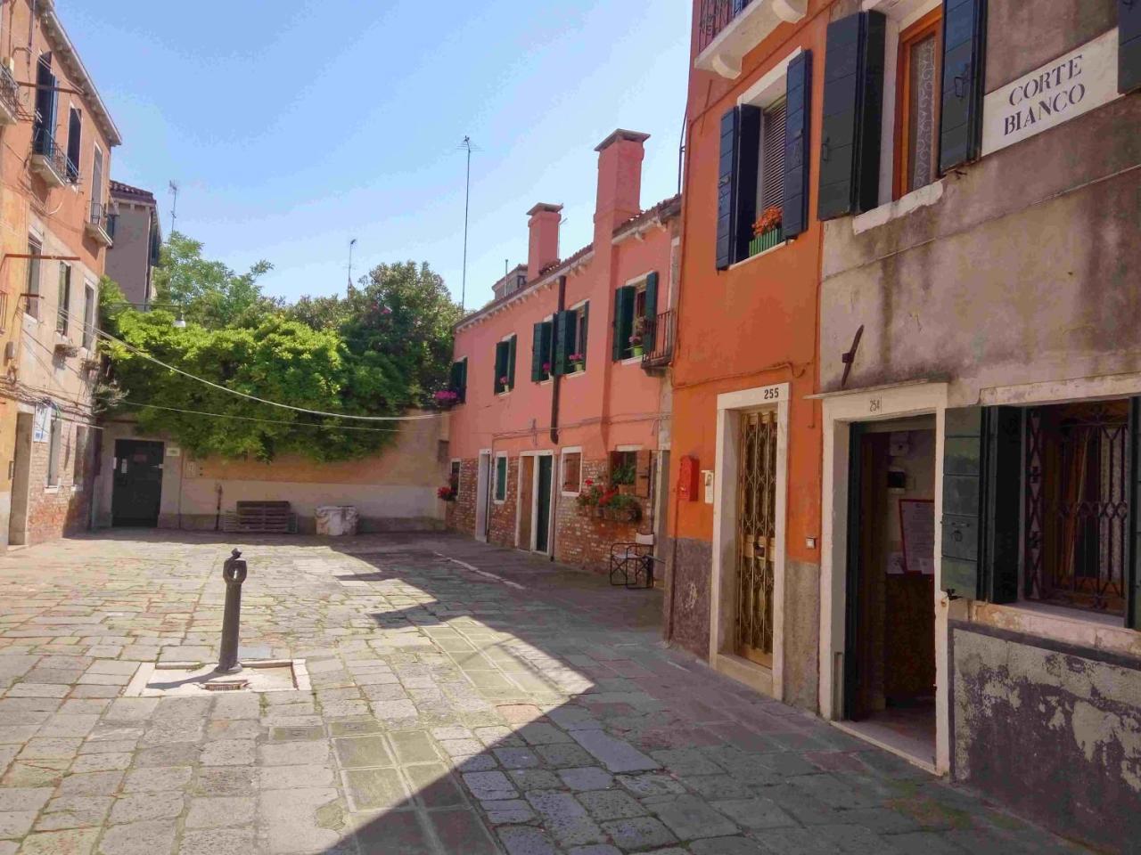 Ca Del Bianco 4 Apartment