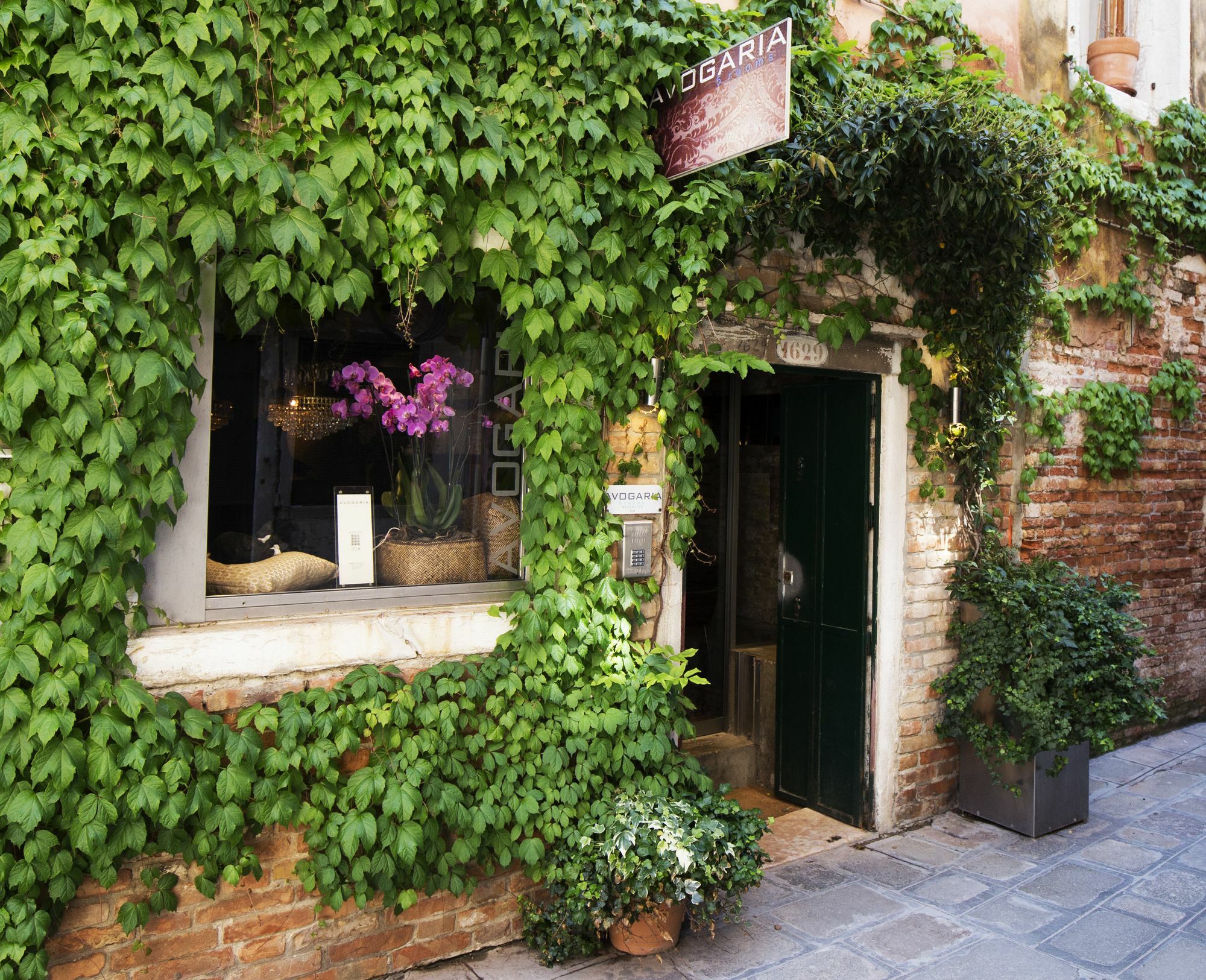 Guest house Avogaria 5 Venice