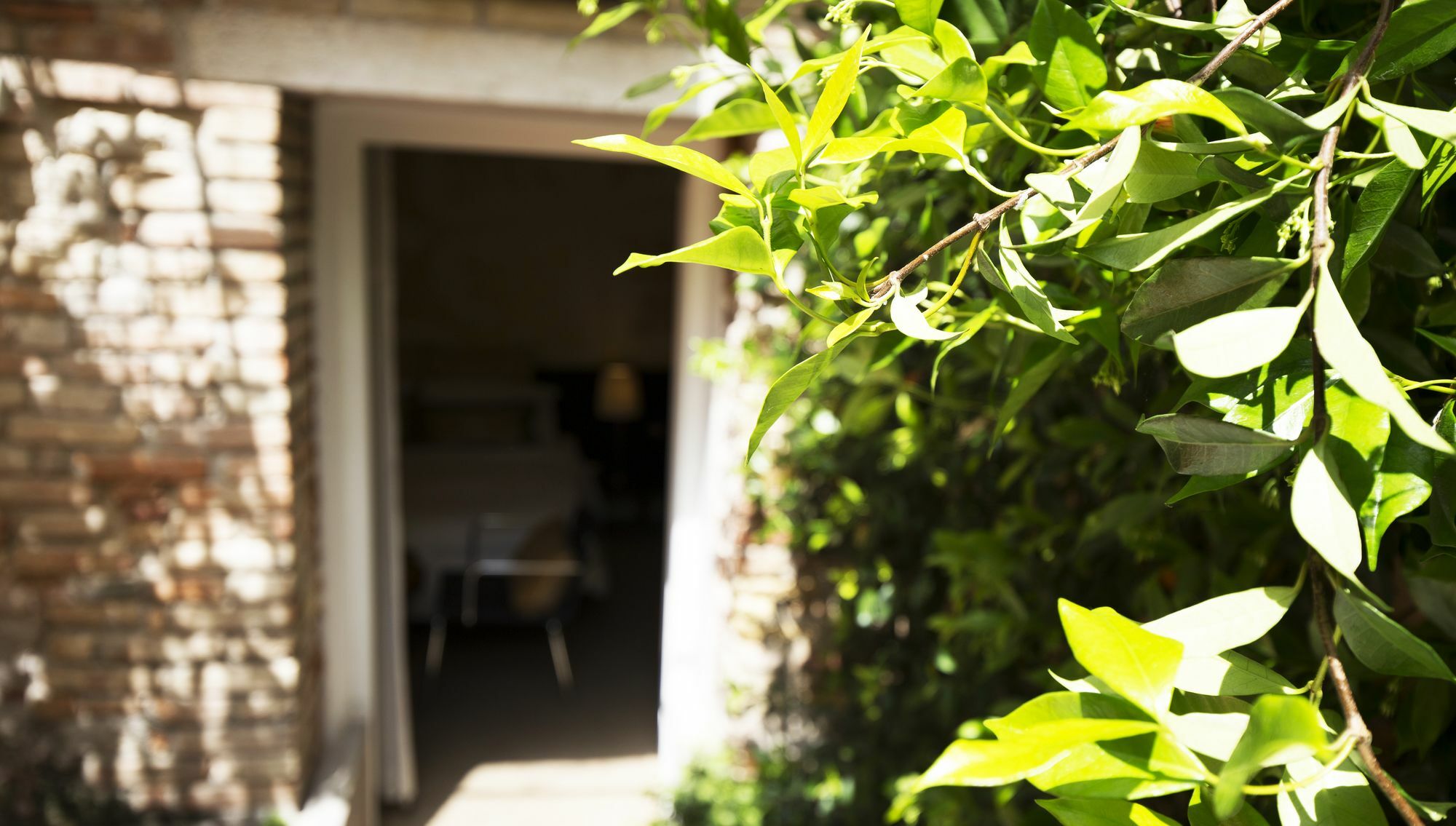 Avogaria 5 Guest house