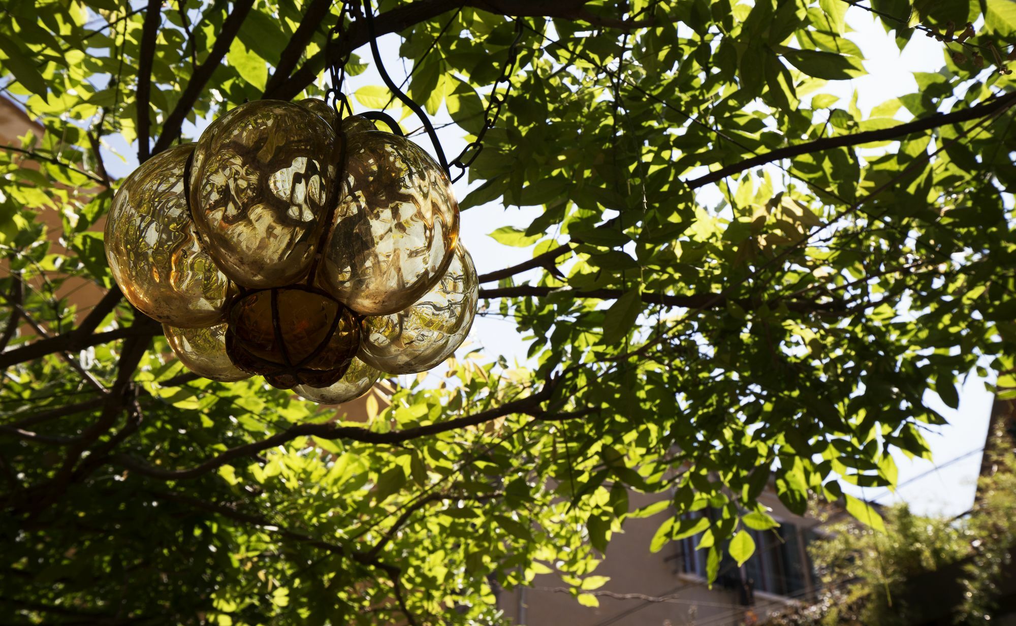 Guest house Avogaria 5 Venice