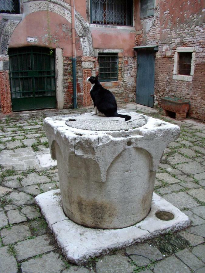 Appartamento Rudy House Venezia