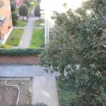The Golden Apartment