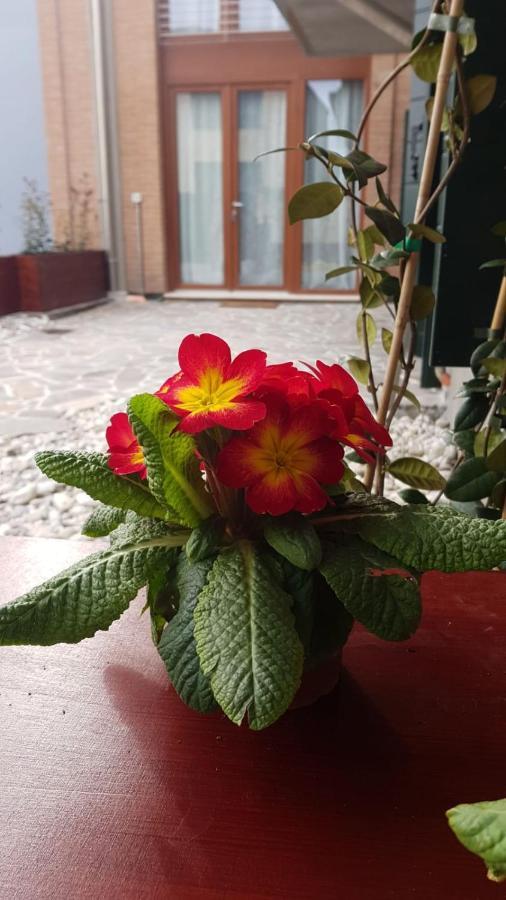 Apartamento Calle Michelangelo *