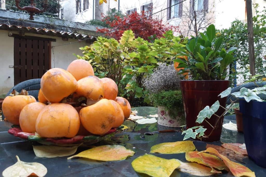 Casa Pusterla Venezia