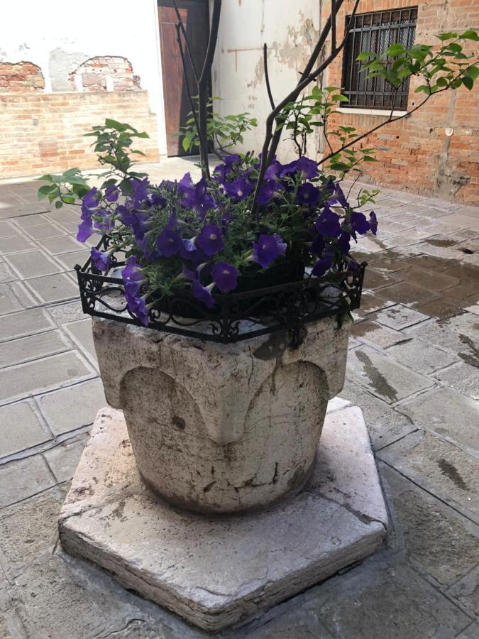 Venetian Infinity Apartment Venice