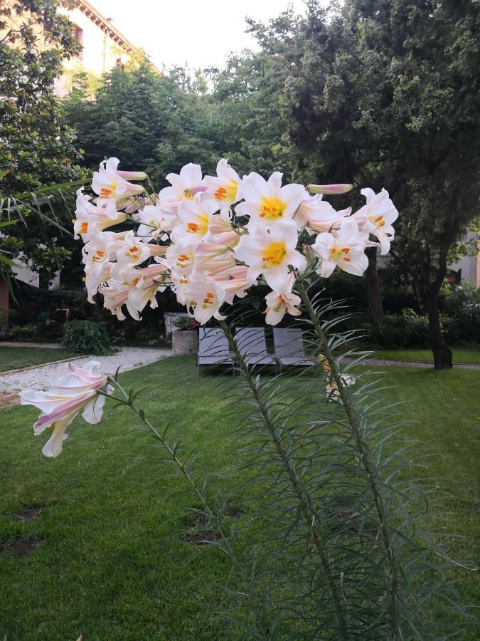 Guest house Cinqueteste Luxury
