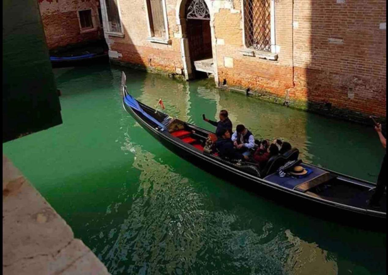 Guest house Anzolo Palace - & Venice