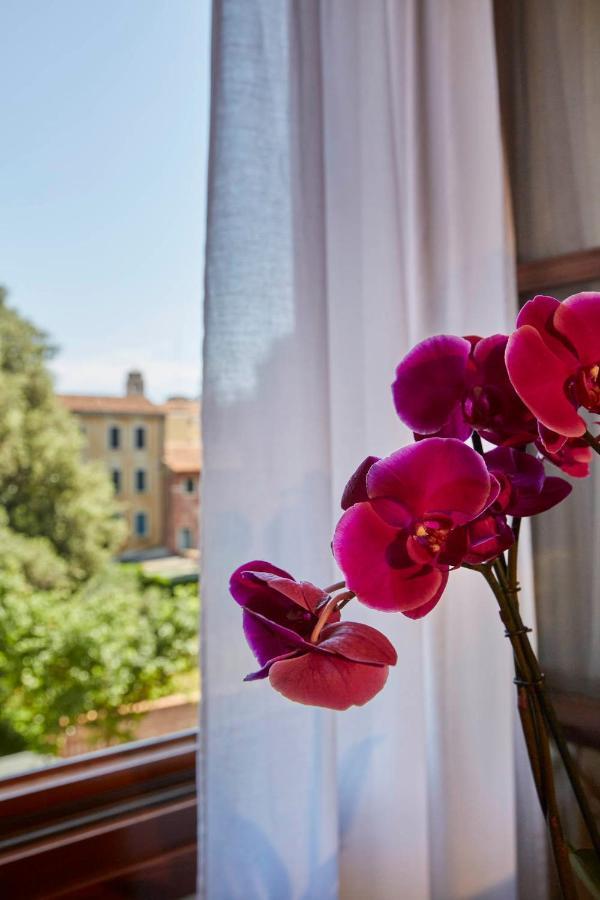 Hotel Orsaria