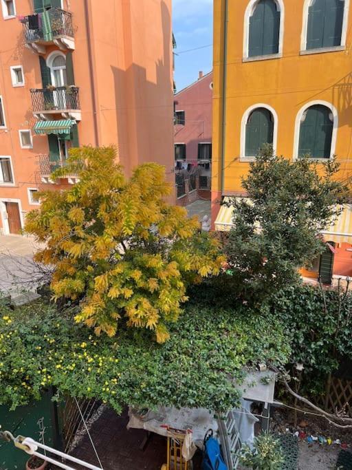 Tipico Veneziano * Venice