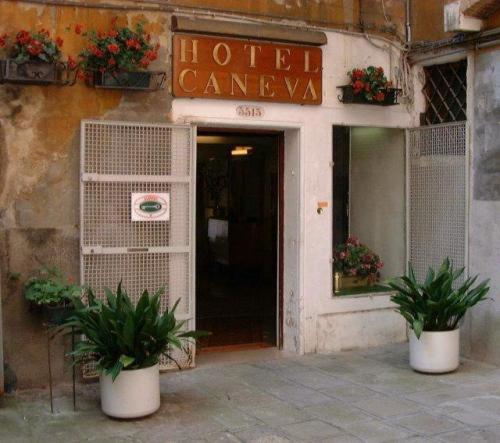 Caneva