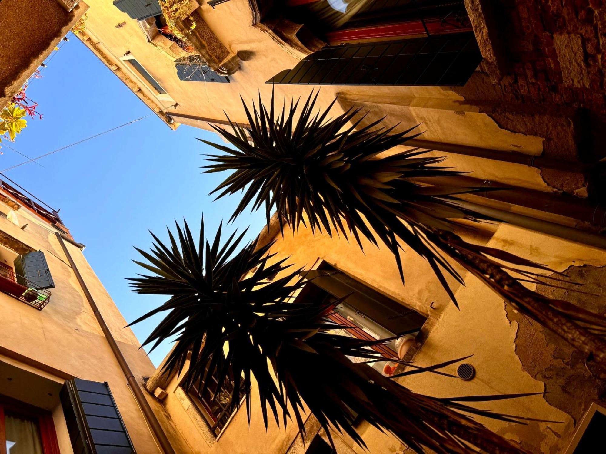Nama Boutique Venice