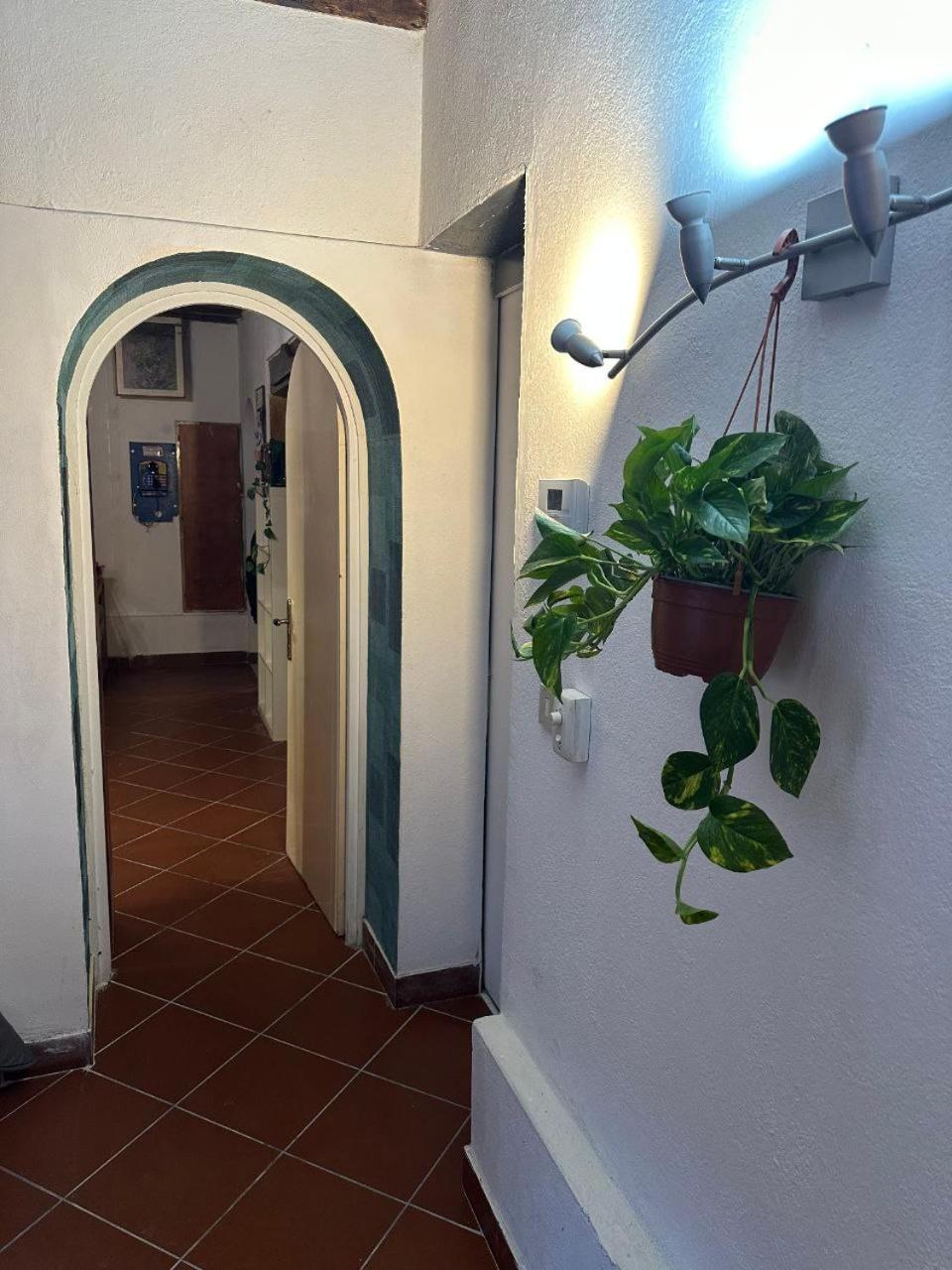 Apartment Venus Venice