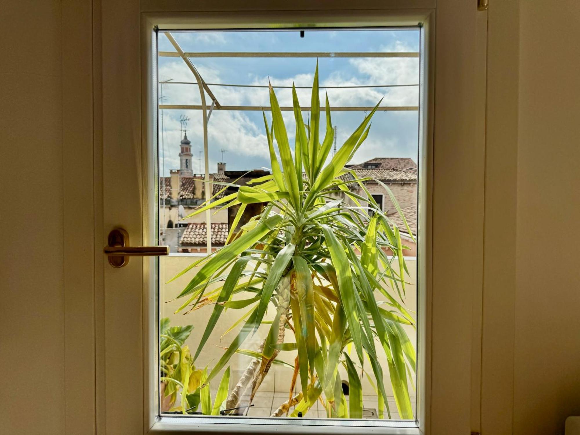 Ca D'oro Apartment *