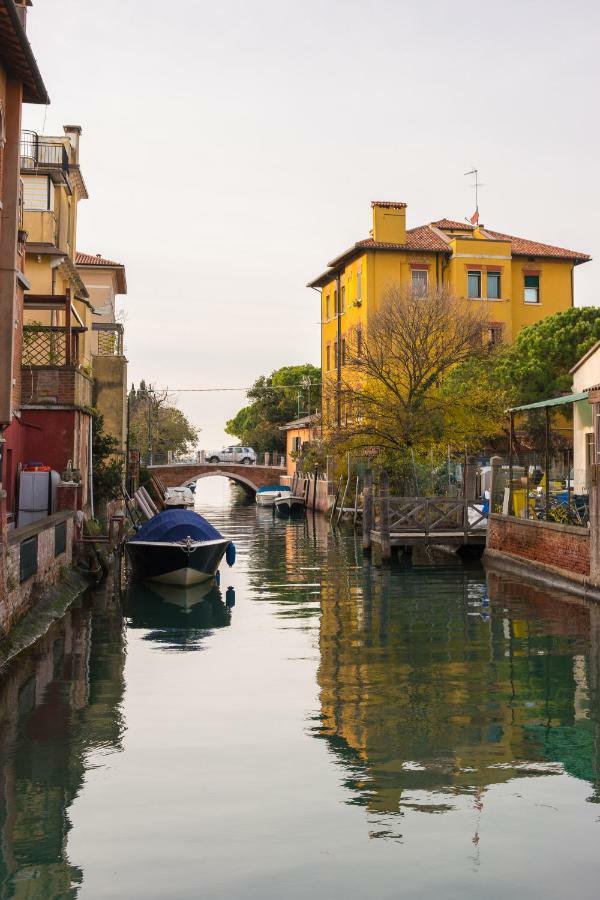 M Design Venice
