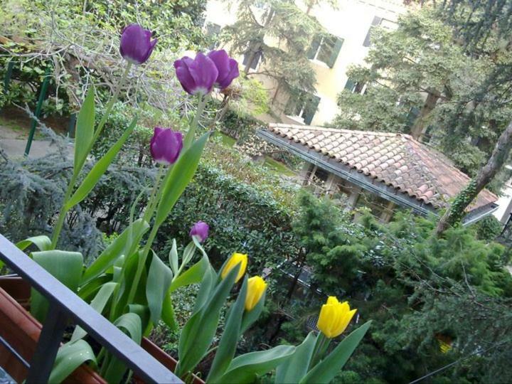 Apartment Giudecca